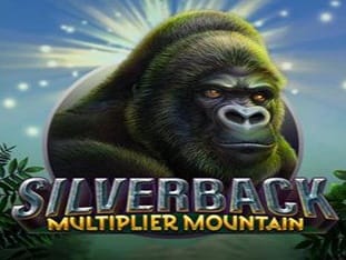 Silverback Pengganda Gunung screenshot